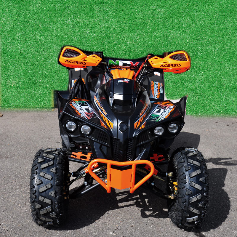 MEGA RAPTOR