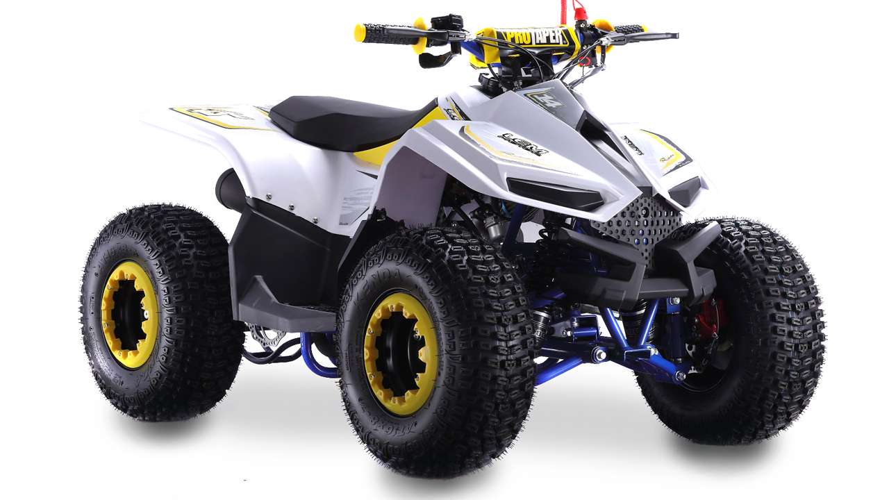QUAD GRIZZLE 110