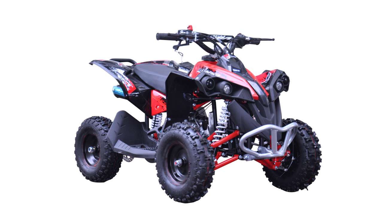 QUAD RENEGADE 110 