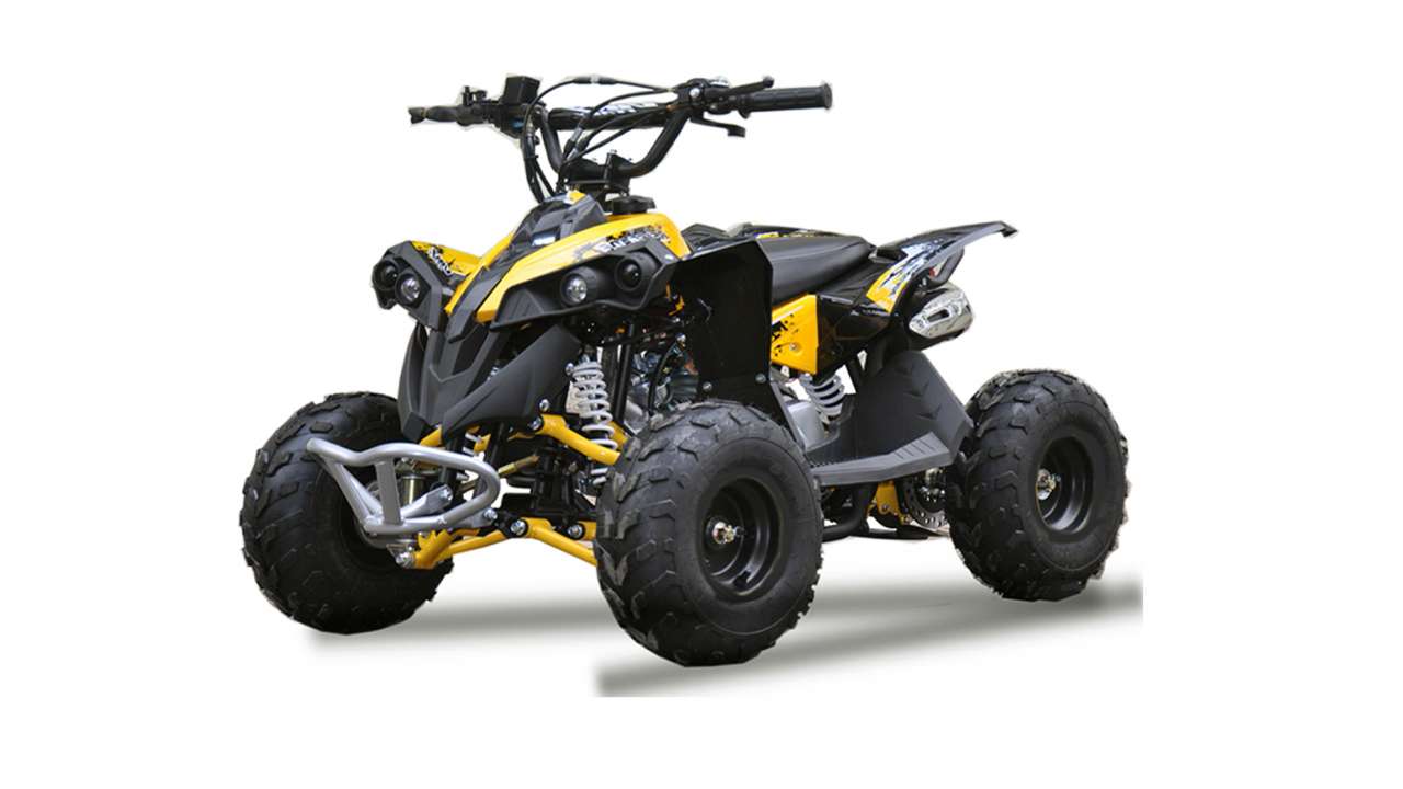 QUAD RENEGADE 